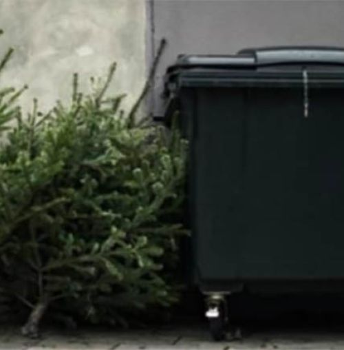 Αφήστε τα χριστουγεννιάτικα δέντρα δίπλα στους κάδους!