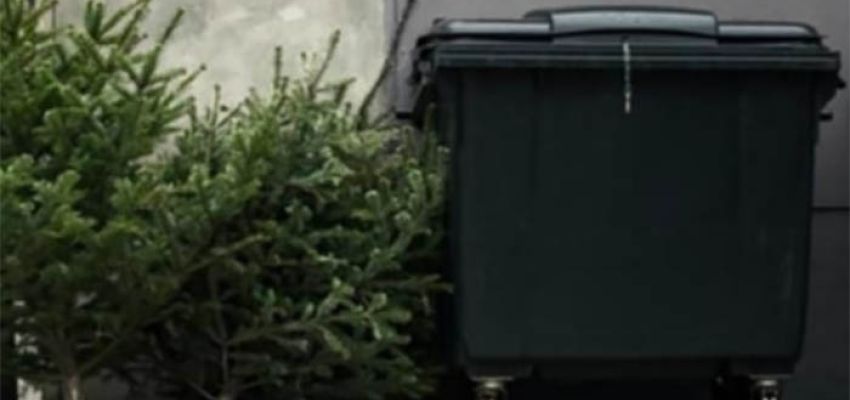 Αφήστε τα χριστουγεννιάτικα δέντρα δίπλα στους κάδους!