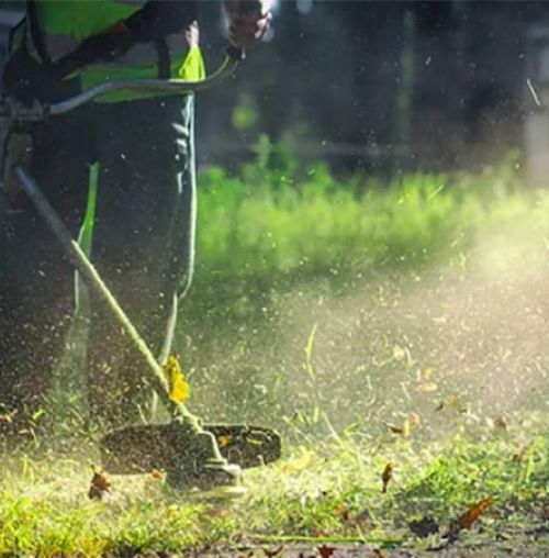 ΠΡΟΣΟΧΗ! Υποχρέωση καθαρισμού και υποβολής δήλωσης έως τις 15 Ιουνίου!