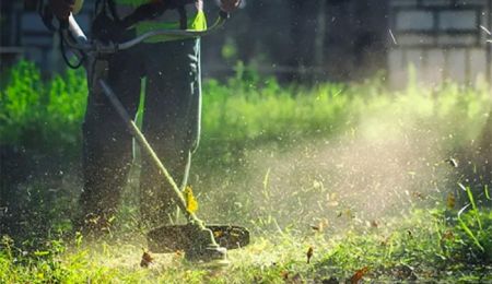 ΠΡΟΣΟΧΗ! Υποχρέωση καθαρισμού και υποβολής δήλωσης έως τις 15 Ιουνίου!