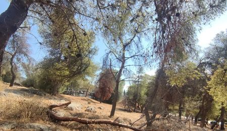 O λόφος Τσακού εκπέμπει SOS! Πρόταση ανάπλασης προς τους Δημάρχους Μυλωνάκη - Αποστολόπουλο