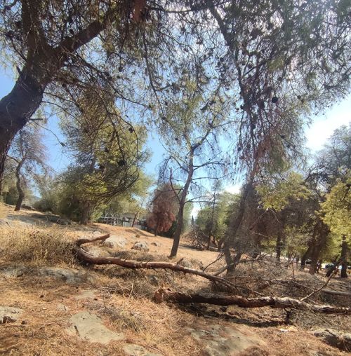 O λόφος Τσακού εκπέμπει SOS! Πρόταση ανάπλασης προς τους Δημάρχους Μυλωνάκη - Αποστολόπουλο