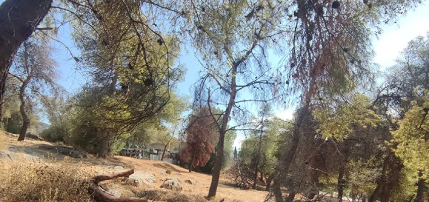 O λόφος Τσακού εκπέμπει SOS! Πρόταση ανάπλασης προς τους Δημάρχους Μυλωνάκη - Αποστολόπουλο